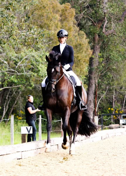 Bluefields Dior on the winning streak